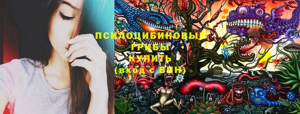 стаф Медвежьегорск