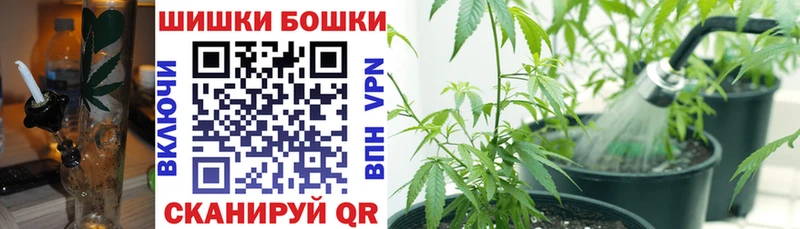 kraken Шадринск Бошки марихуана план